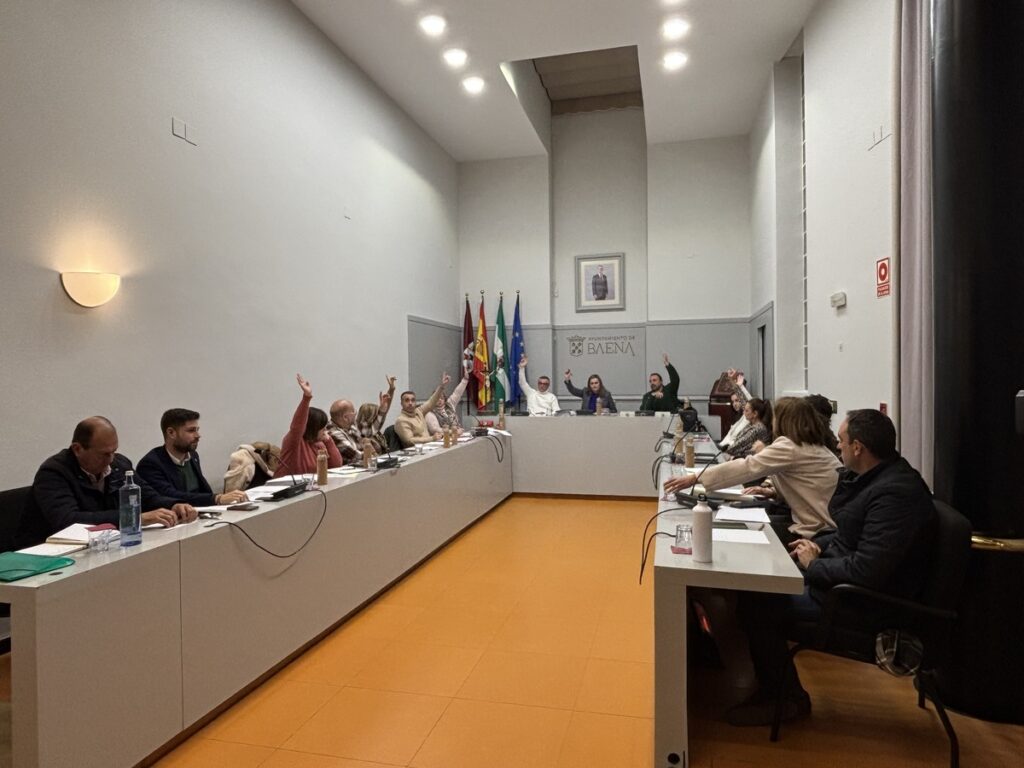El Pleno aprueba el presupuesto de 2025 con un incremento de las ...